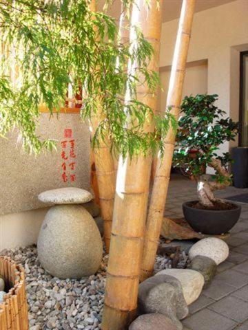 브레싸노네 Garni Cremona B&B 외부 사진